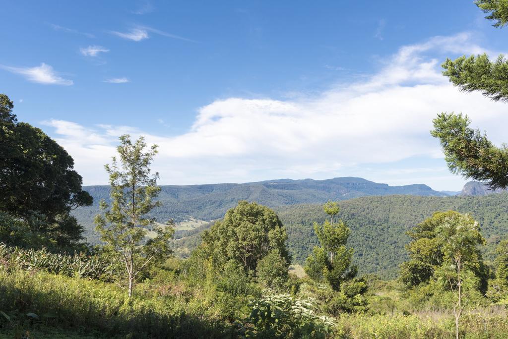 Clouds Safari 호텔 Beechmont 외부 사진